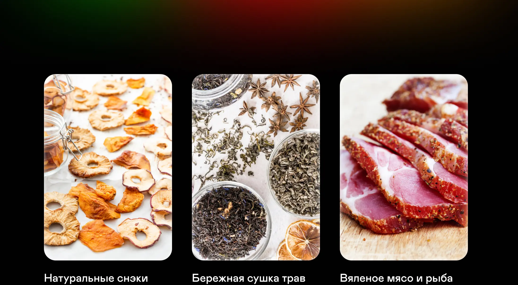 https://s3.ecom.garlyn.ru/uploads/019c1d94-98ba-7120-b5b8-aaf67f2d291a/variants/full.webp