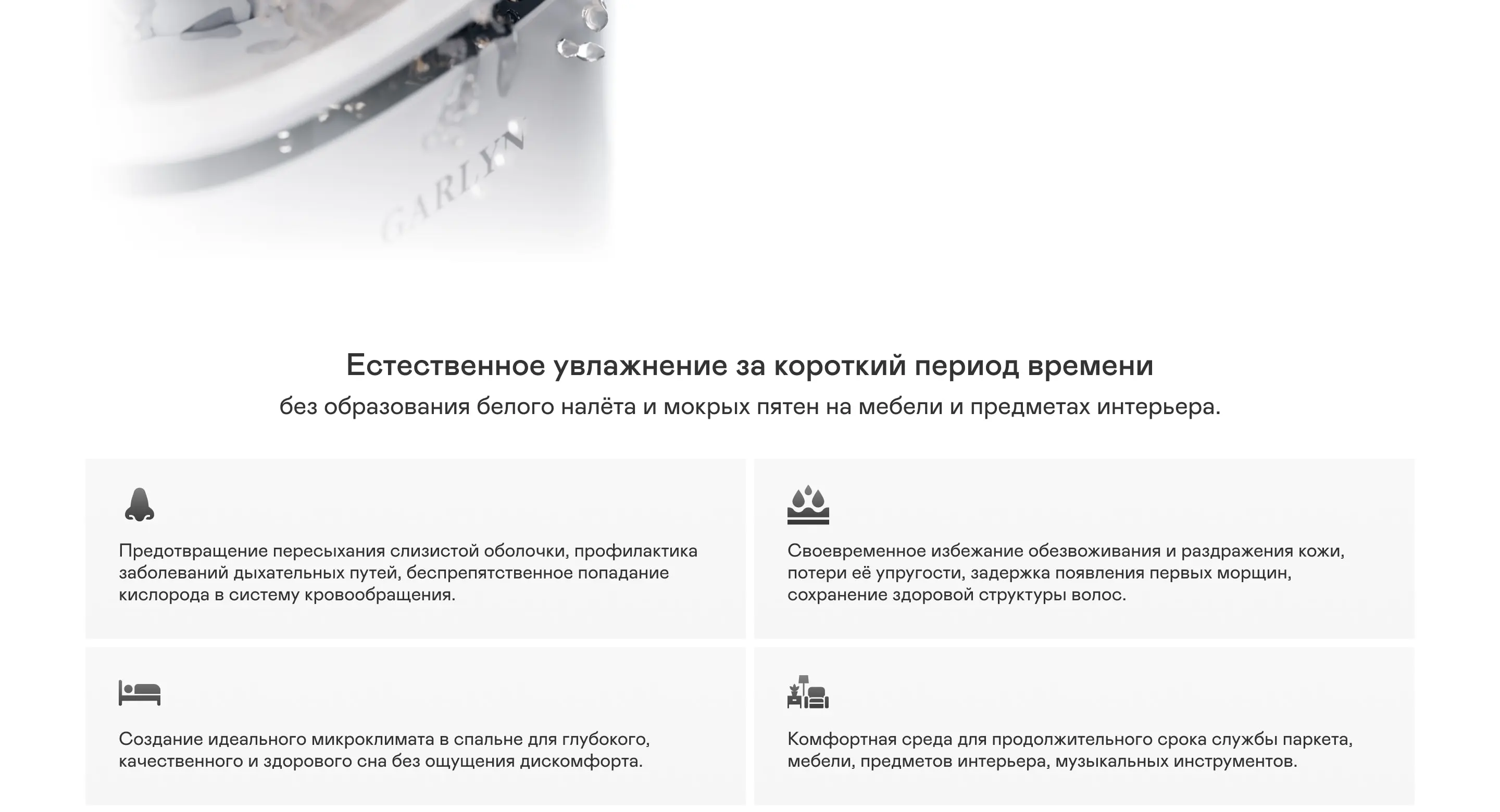 https://s3.ecom.garlyn.ru/uploads/019c1daa-21be-7016-a3b4-bb6b4455964f/variants/full.webp