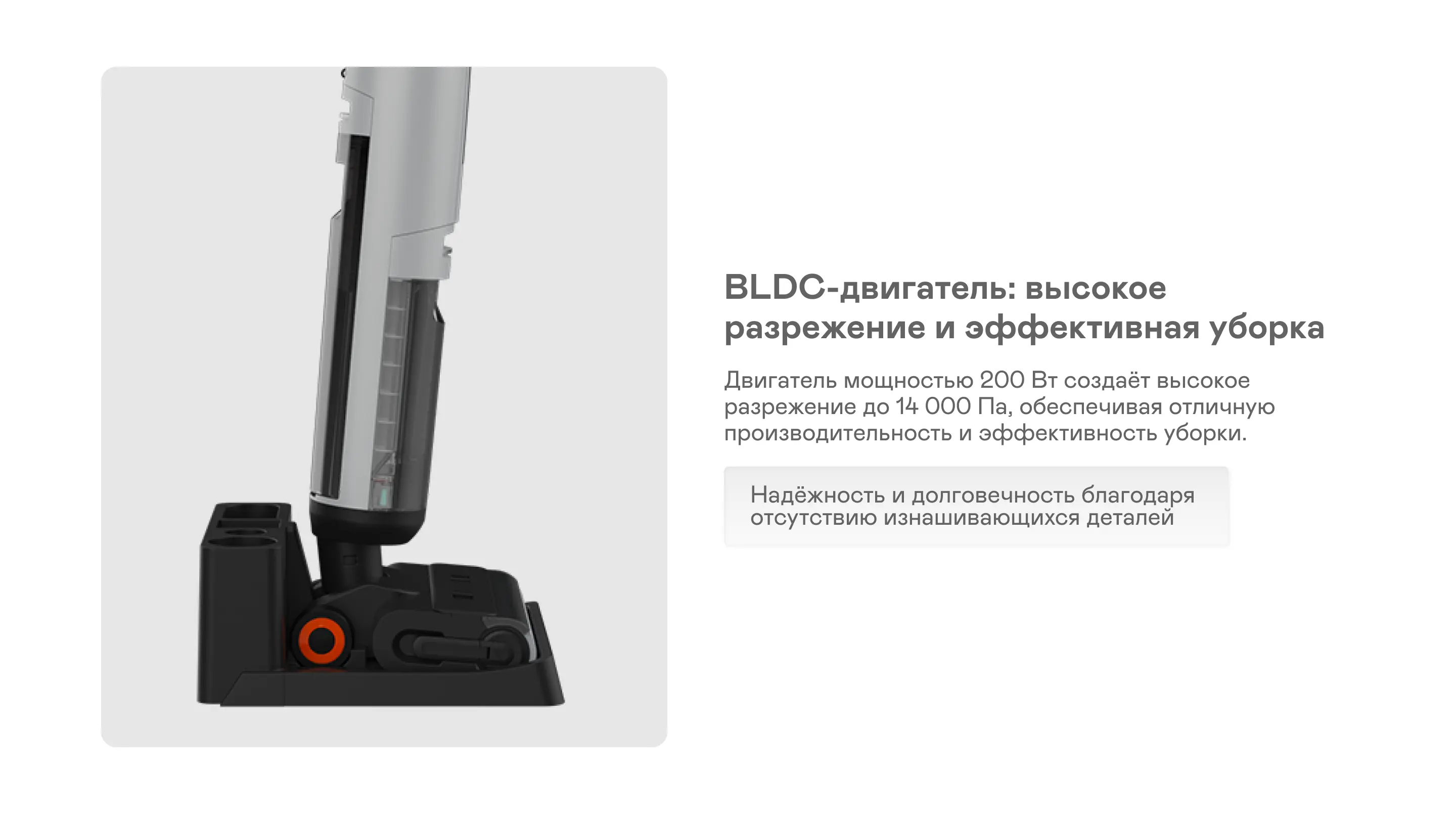 https://s3.ecom.garlyn.ru/uploads/019c1dad-d891-75e1-bc89-0b11bd688bb5/variants/full.webp