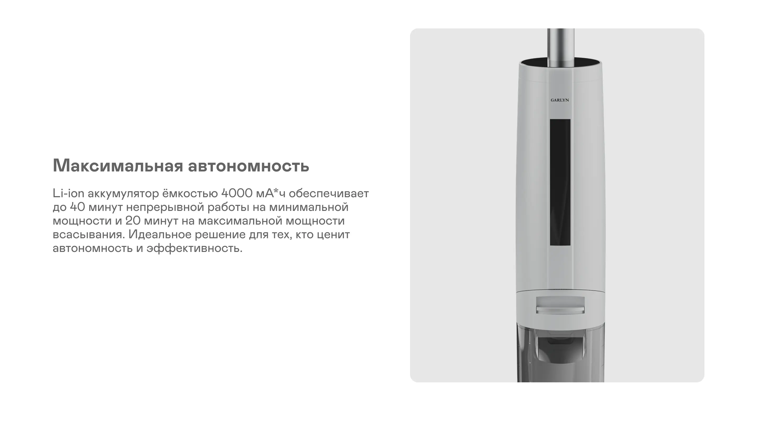 https://s3.ecom.garlyn.ru/uploads/019c1dad-dd42-7e6e-814e-194b507e2e54/variants/full.webp