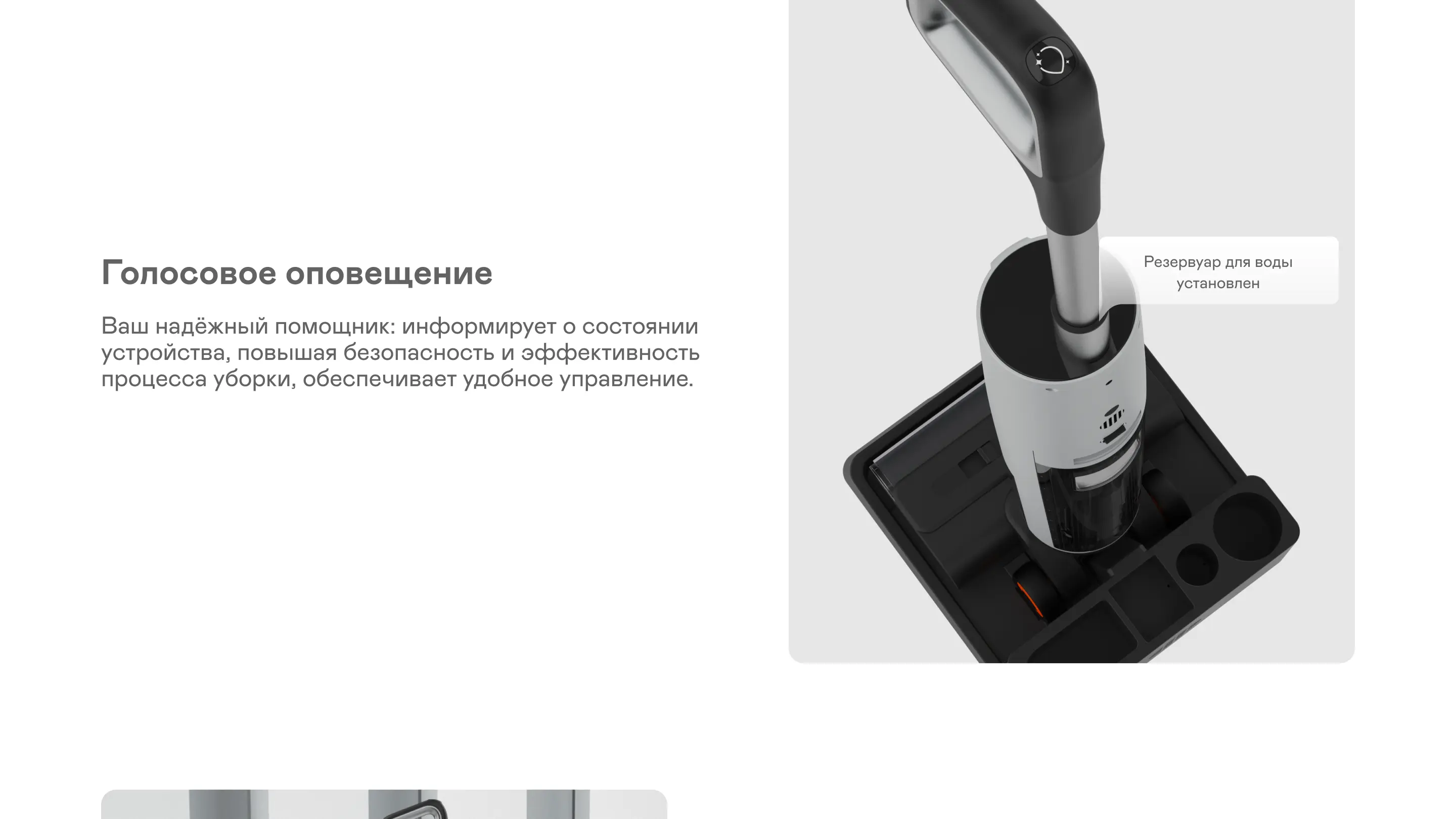 https://s3.ecom.garlyn.ru/uploads/019c1dad-f62b-7a6a-ba91-345e65d48f3a/variants/full.webp