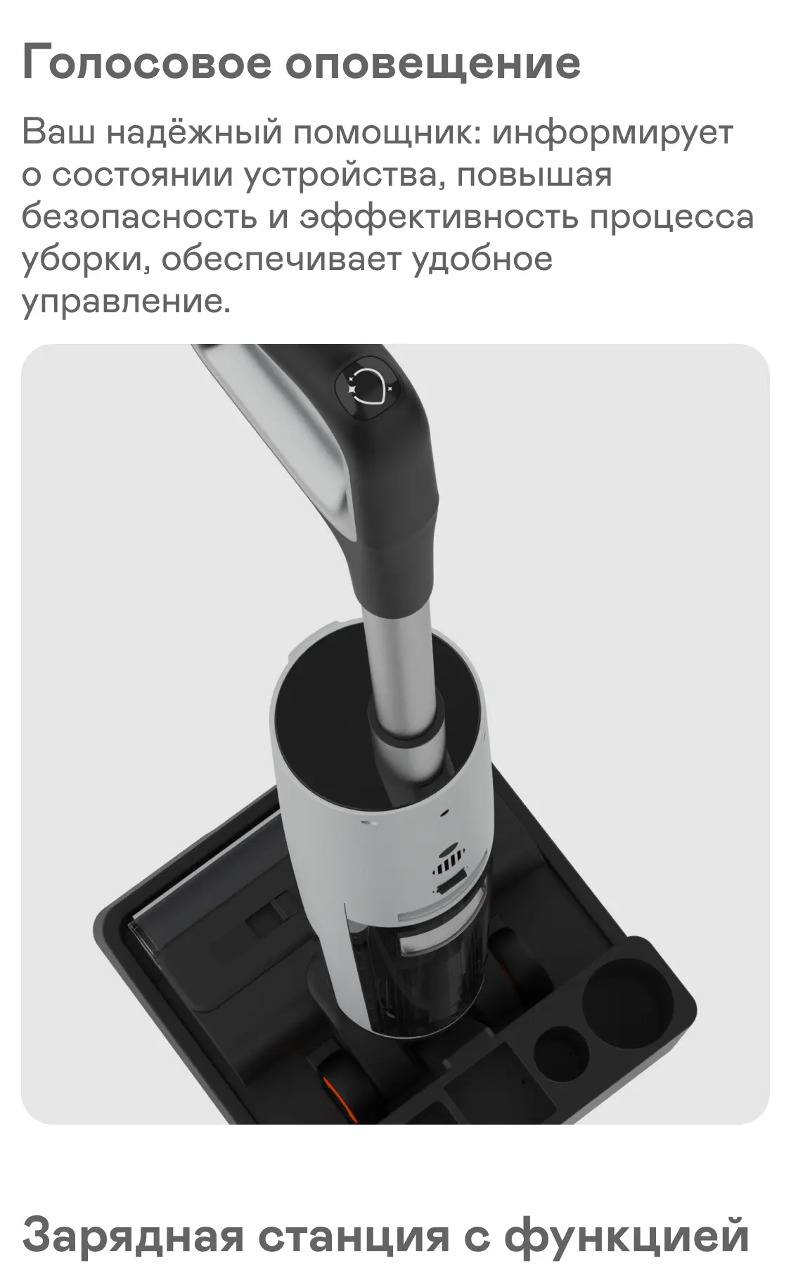 https://s3.ecom.garlyn.ru/uploads/019c1dae-446e-74a8-bc02-6cb876f1408a/variants/full.webp
